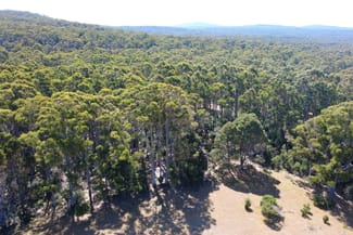 Rural / Farming commercial property sold at LOT 1 BRIDPORT ROAD Pipers River TAS 7252 Rural / Farming commercial property sold at LOT 1 BRIDPORT ROAD Pipers River TAS 7252