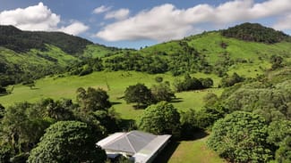 Rural / Farming commercial property sold at 212 Monaghan Road Palm Grove QLD 4800 Rural / Farming commercial property sold at 212 Monaghan Road Palm Grove QLD 4800