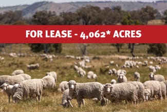 Rural / Farming commercial property sold at Bogolara Road Jugiong NSW 2726 Rural / Farming commercial property sold at Bogolara Road Jugiong NSW 2726