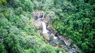 Rural / Farming commercial property for sale at Dorrigo NSW 2453 Rural / Farming commercial property for sale at Dorrigo NSW 2453
