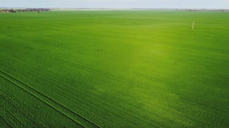 Rural / Farming commercial property sold at Minyip VIC 3392 Rural / Farming commercial property sold at Minyip VIC 3392