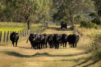 Rural / Farming commercial property sold at "Hi-View" 299 Hudson Road Felton QLD 4358