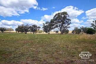 Rural / Farming commercial property for sale at 1925 Nullamanna Road Inverell NSW 2360