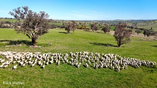 Rural / Farming commercial property sold at Woburn Road Harden NSW 2587