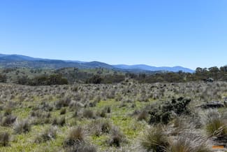 Rural / Farming commercial property sold at "Muriel's Paddock" Gullies Road Jindabyne NSW 2627 Rural / Farming commercial property sold at "Muriel's Paddock" Gullies Road Jindabyne NSW 2627