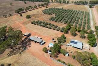 Rural / Farming commercial property sold at 9 The Mcgrane Way Tullamore NSW 2874