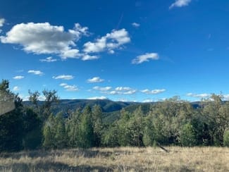 Rural / Farming commercial property sold at 10 Mountain Creek Rd Mole River NSW 2372 Rural / Farming commercial property sold at 10 Mountain Creek Rd Mole River NSW 2372