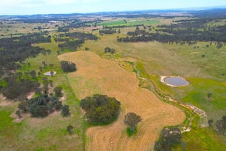 Rural / Farming commercial property sold at 1 Little Plains Road Blakney Creek NSW 2581