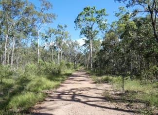 Rural / Farming commercial property sold at 255 Mollenhagens Road Winfield QLD 4670