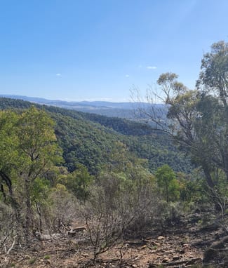 Rural / Farming commercial property for sale at Lot 34 Palarang Road Merriangaah NSW 2632