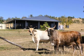 Rural / Farming commercial property sold at 1854 Glenlyon Dam Road Mingoola QLD 4380 Rural / Farming commercial property sold at 1854 Glenlyon Dam Road Mingoola QLD 4380