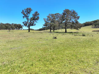 Rural / Farming commercial property sold at 1393 Middle Arm Road Goulburn NSW 2580 Rural / Farming commercial property sold at 1393 Middle Arm Road Goulburn NSW 2580