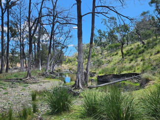 Rural / Farming commercial property for sale at Lot 2 Stanthorpe Texas Road Stanthorpe QLD 4380 Rural / Farming commercial property for sale at Lot 2 Stanthorpe Texas Road Stanthorpe QLD 4380