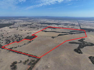 Rural / Farming commercial property for sale at Lot 8 Dunolly-Orville Road Murphys Creek VIC 3551 Rural / Farming commercial property for sale at Lot 8 Dunolly-Orville Road Murphys Creek VIC 3551