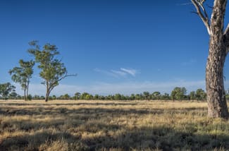 Rural / Farming commercial property sold at 4550 Bollon Dirranbandi Road Dirranbandi QLD 4486