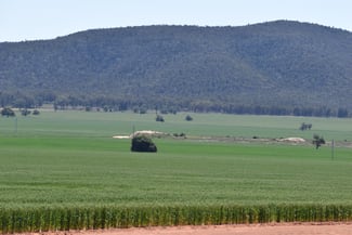 Rural / Farming commercial property for sale at 2190 Yarrabandai Road Trundle NSW 2875