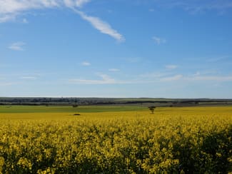 Rural / Farming commercial property for sale at 281 Kielow Road Peake SA 5301