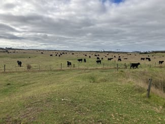 Rural / Farming commercial property sold at 3470 North Road Egg Lagoon TAS 7256 Rural / Farming commercial property sold at 3470 North Road Egg Lagoon TAS 7256