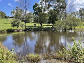 Rural / Farming commercial property sold at 235 Coorooman Creek Road Cawarral QLD 4702