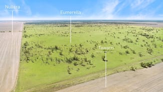 Rural / Farming commercial property sold at 'Eumerella' Lot 87 Eumerella Road Thallon QLD 4497 Rural / Farming commercial property sold at 'Eumerella' Lot 87 Eumerella Road Thallon QLD 4497