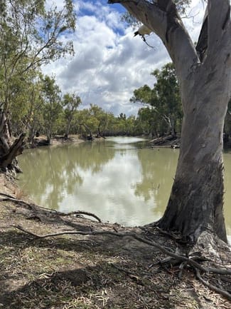 Rural / Farming commercial property sold at Barham NSW 2732 Rural / Farming commercial property sold at Barham NSW 2732