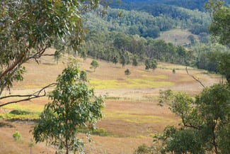 Rural / Farming commercial property sold at 11/ Rocky River Road Rocky River NSW 2372 Rural / Farming commercial property sold at 11/ Rocky River Road Rocky River NSW 2372