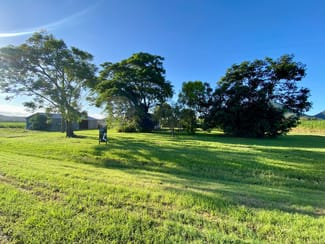 Rural / Farming commercial property sold at Lot 2 Welshs Road Pinevale QLD 4754 Rural / Farming commercial property sold at Lot 2 Welshs Road Pinevale QLD 4754