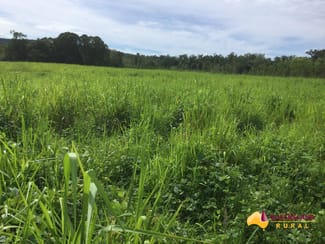 Rural / Farming commercial property sold at South Innisfail QLD 4860