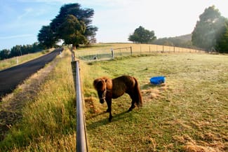 Rural / Farming commercial property sold at 470 Allison Rd North Motton TAS 7315 Rural / Farming commercial property sold at 470 Allison Rd North Motton TAS 7315