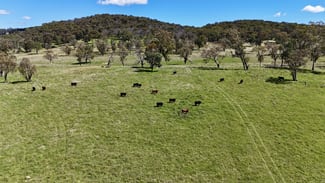 Rural / Farming commercial property for sale at 3256 Niangala Rd Walcha NSW 2354 Rural / Farming commercial property for sale at 3256 Niangala Rd Walcha NSW 2354