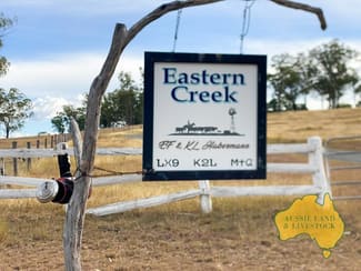 Rural / Farming commercial property sold at 2360 MONTO MOUNT PERRY ROAD Yarrol QLD 4630 Rural / Farming commercial property sold at 2360 MONTO MOUNT PERRY ROAD Yarrol QLD 4630
