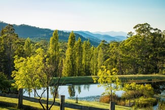 Rural / Farming commercial property for sale at 1697 Big Jack Mountain Road Rocky Hall NSW 2550 Rural / Farming commercial property for sale at 1697 Big Jack Mountain Road Rocky Hall NSW 2550