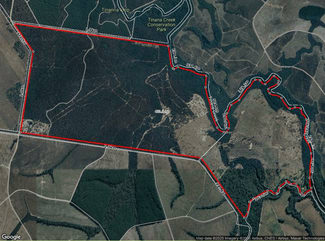 Rural / Farming commercial property for sale at 0 Davis Road Bauple Forest QLD 4650 Rural / Farming commercial property for sale at 0 Davis Road Bauple Forest QLD 4650