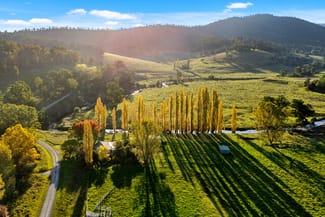 Rural / Farming commercial property sold at 3306 Timbarra Road Buchan VIC 3885 Rural / Farming commercial property sold at 3306 Timbarra Road Buchan VIC 3885