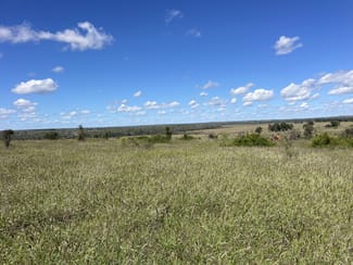 Rural / Farming commercial property sold at 2344 The Bend Road Taroom QLD 4420 Rural / Farming commercial property sold at 2344 The Bend Road Taroom QLD 4420