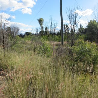 Rural / Farming commercial property sold at 10 Tara Chinchilla Road Tara QLD 4421 Rural / Farming commercial property sold at 10 Tara Chinchilla Road Tara QLD 4421