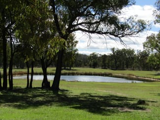 Rural / Farming commercial property sold at 843 ABERDEEN RD, STANBOROUGH Inverell NSW 2360