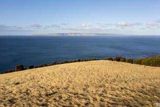Rural / Farming commercial property for sale at Lot 63 Cape Willoughby Road Cuttlefish Bay SA 5222 Rural / Farming commercial property for sale at Lot 63 Cape Willoughby Road Cuttlefish Bay SA 5222