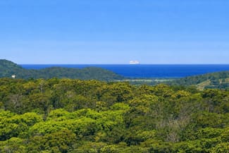 Rural / Farming commercial property for sale at Dalwood NSW 2477
