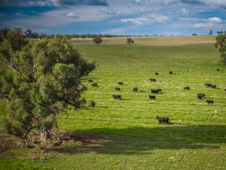 Rural / Farming commercial property sold at Talbragar 42R Mendooran Road Dubbo NSW 2830 Rural / Farming commercial property sold at Talbragar 42R Mendooran Road Dubbo NSW 2830