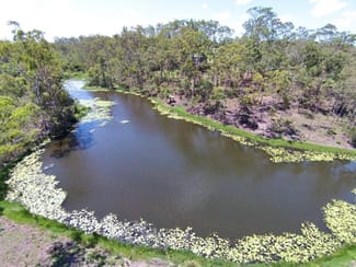 Rural / Farming commercial property sold at 128 Kurths Rd South Kolan QLD 4670