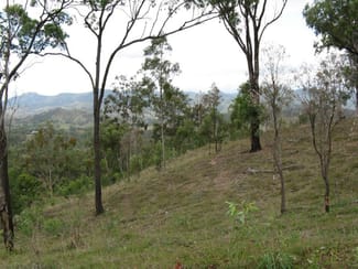 Rural / Farming commercial property sold at Mount Perry QLD 4671 Rural / Farming commercial property sold at Mount Perry QLD 4671