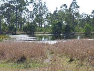 Rural / Farming commercial property sold at 57 Theils Road Dalysford QLD 4671 Rural / Farming commercial property sold at 57 Theils Road Dalysford QLD 4671