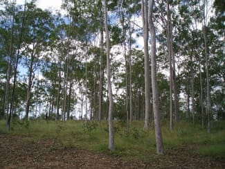 Rural / Farming commercial property sold at Pine Creek QLD 4670