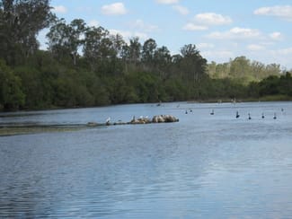 Rural / Farming commercial property sold at Wallaville QLD 4671