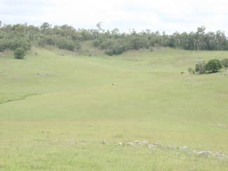 Rural / Farming commercial property sold at Mount Perry QLD 4671 Rural / Farming commercial property sold at Mount Perry QLD 4671