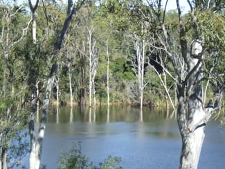 Rural / Farming commercial property sold at Bungadoo QLD 4671 Rural / Farming commercial property sold at Bungadoo QLD 4671