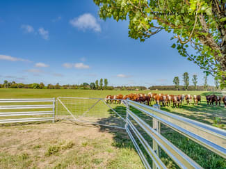 Rural / Farming commercial property sold at 154 Scabben Flat Road Taralga NSW 2580 Rural / Farming commercial property sold at 154 Scabben Flat Road Taralga NSW 2580