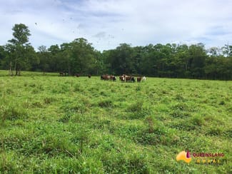 Rural / Farming commercial property sold at South Innisfail QLD 4860 Rural / Farming commercial property sold at South Innisfail QLD 4860