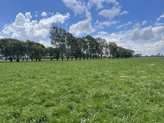 Rural / Farming commercial property sold at 630 Morrissey Road Girgarre VIC 3624 Rural / Farming commercial property sold at 630 Morrissey Road Girgarre VIC 3624